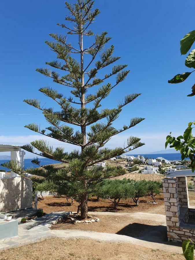 Anthoula'S Sea View Apartment Piso Livadi Exteriör bild