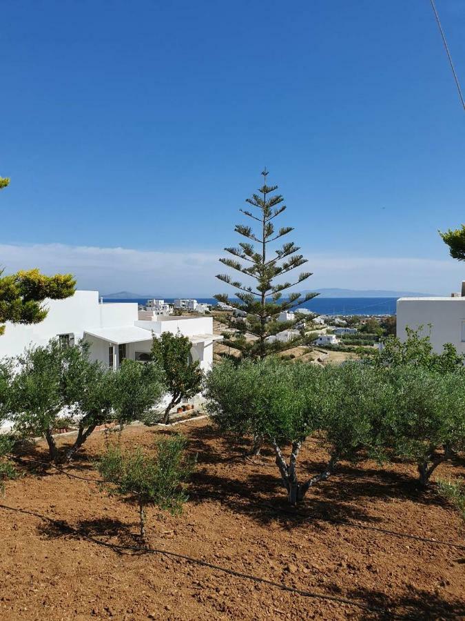 Anthoula'S Sea View Apartment Piso Livadi Exteriör bild