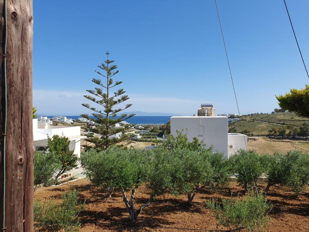 Anthoula'S Sea View Apartment Piso Livadi Exteriör bild